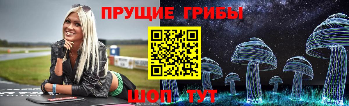 Новоалександровск  Галлюциногенные грибы Psilocybe  Вход с VPN  Псилоцибиновые грибы Cubensis 