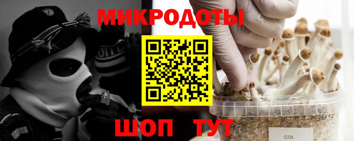 Галлюциногенные грибы ЛСД Новоалександровск